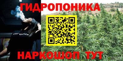 mdma Тара