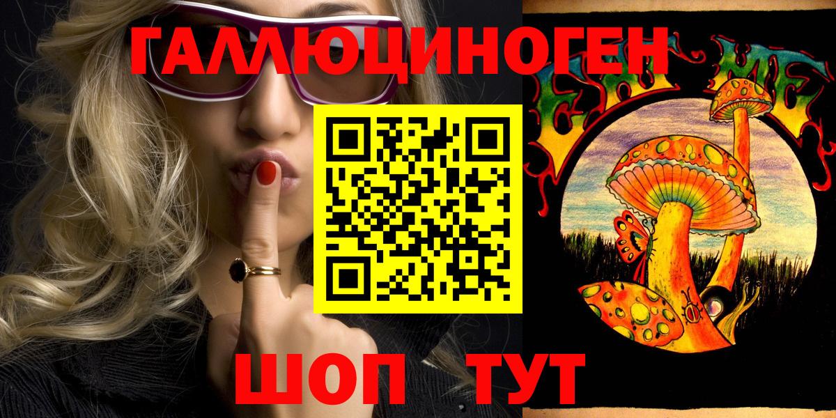 Новокубанск  Псилоцибиновые грибы GOLDEN TEACHER  Вход с VPN 