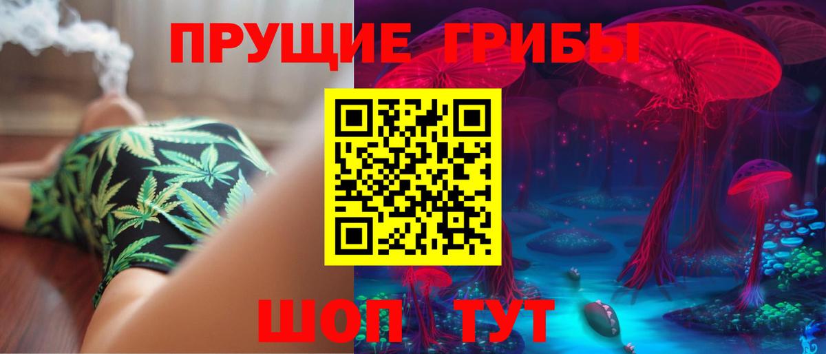 Псилоцибиновые грибы прущие грибы Новокубанск