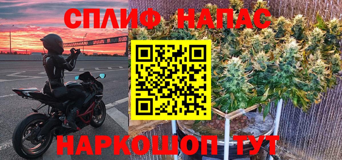 Шишки марихуана MAZAR  Вход с VPN  Каннабис план  Новокубанск  Конопля гибрид  Марихуана Amnesia 